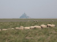 Baie du Mont-Saint-Michel ©FX Duponcheel / ABC