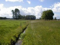 Cours d'eau rectifié ©M. JULITA / SI Haut Couesnon