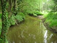 Cours d'eau diversifié ©Hydroconcept