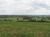 Paysage de champs maïs et de prairies ©FX Duponcheel / ABC