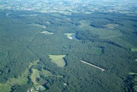 Vue aérienne forêt de Fougères ©4 Vents