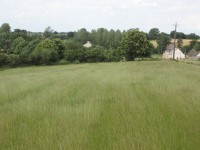 Prairie entourée d'une haie bocagère ©FX Duponcheel / ABC