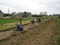 Plantation d'une haie ©FX Duponcheel / ABC