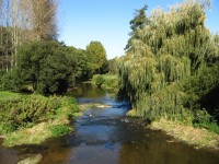 Couesnon à l'aval du Moulin d'Antrain ©FX Duponcheel / ABC